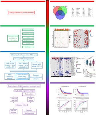 Characterization of anoikis-based molecular heterogeneity in pancreatic cancer and pancreatic neuroendocrine tumor and its association with tumor immune microenvironment and metabolic remodeling